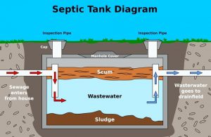Septic Tank Clean Out